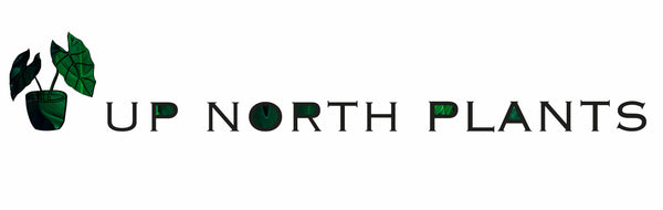 Up North Plants